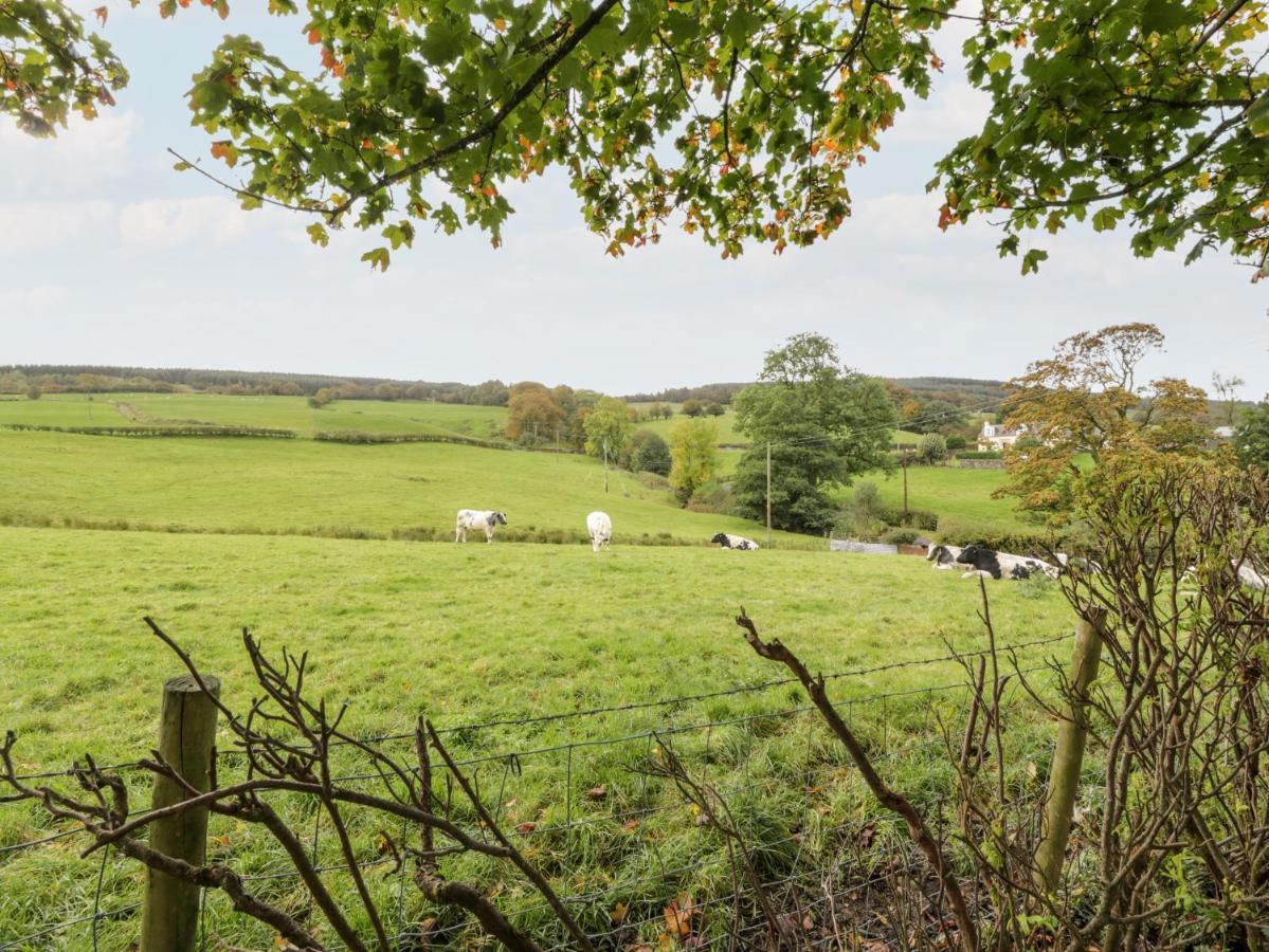 Whiteside Cottage Darvel Bagian luar foto